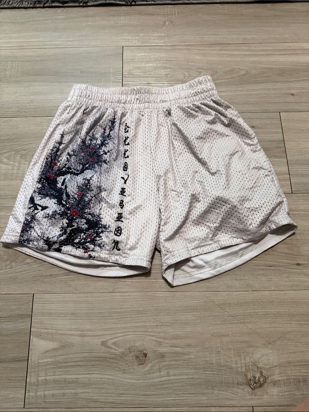 Ekkovision mesh shorts gym